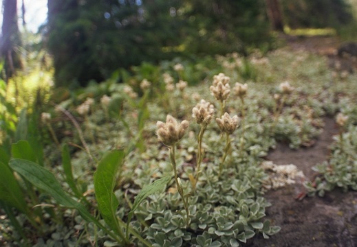 Baker Gulch Trail